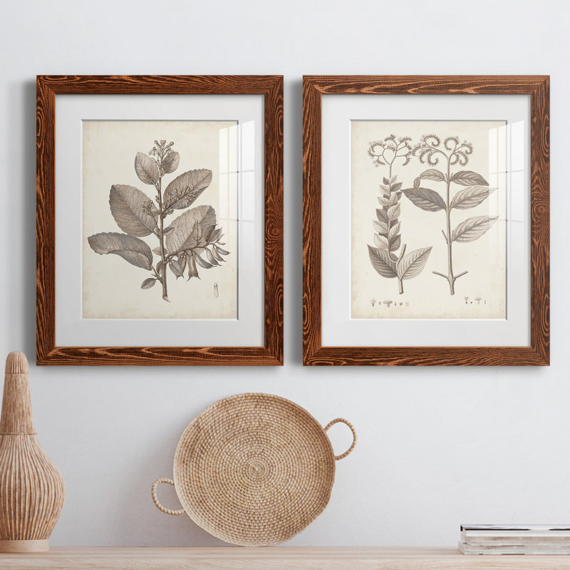 August Grove® Antique Sepia Botanicals V 2 Piece Picture Frame